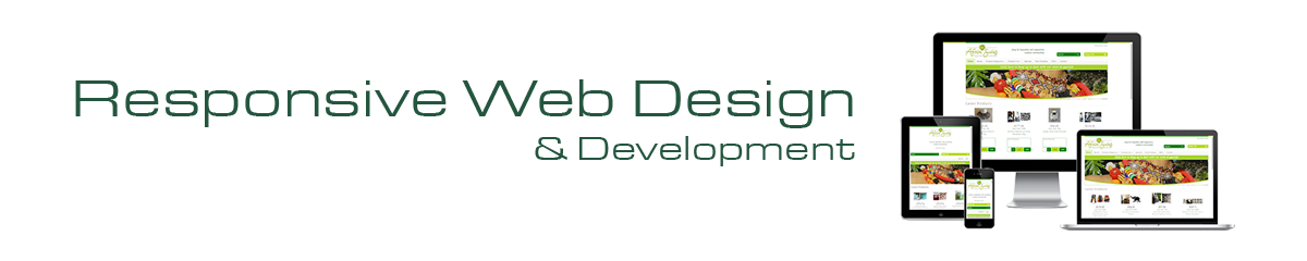 Providing Business Solutions Trough Custom Software Development