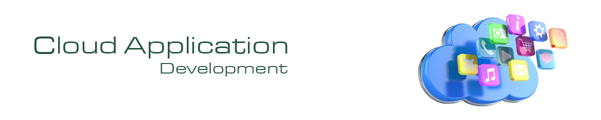 Providing Business Solutions Trough Custom Software Development